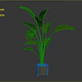 Lush Green Banana Leaf Plant In Minimalist Brown Pot With Broad Foliage