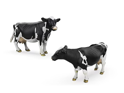 Two Black And White Dairy Cows Standing In White Background Scene 3d model