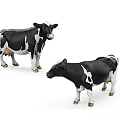 Two Black And White Dairy Cows Standing In White Background Scene 3d model