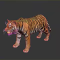 Realistic Tiger With Orange Black Striped Fur Standing Pose Against Dark Background With Reflection