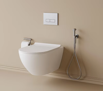 Wall Mounted White Toilet with Toilet Paper Holder Handheld Bidet Spray and Wall Control Panel 3d model