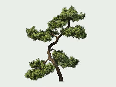 Ornamental Arbor With Curved Branches And Lush Green Foliage For Garden Landscaping 3d model