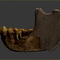 3D Rendered Detailed Game and Movie Character Skeleton Jawbone With Brown Orange Teeth Structure