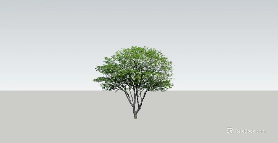 Arbor With Lush Green Foliage And Multiple Branches On Gray Background 3d model
