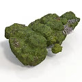 Lush Green Natural Moss Covered Rock Formation With Small Stones And Textured Surface