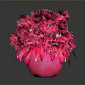 Red Flowers Arrangement In Pink Vase With Vibrant Petals And Shiny Reflections