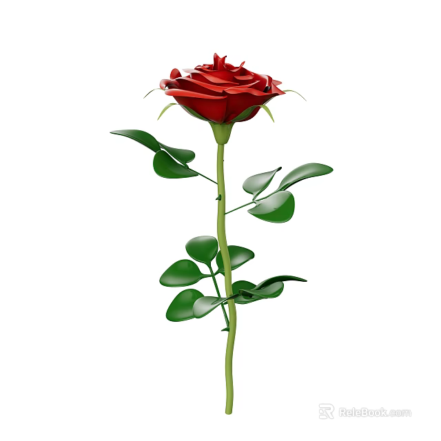 Beautiful Red Rose With Green Stem And Fresh Green Leaves 3d model 