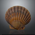 Vibrant Orange Brown Striped Scallop Shell Display On Dark Background