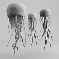 Three Graceful Jellyfish With Long Translucent Tentacles And Flowing Underwater Movements