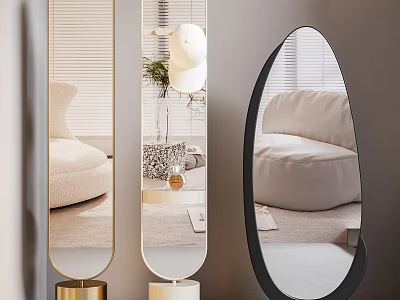 Standing Mirrors With Gold Bases And Oval Black Frame Mirror Reflecting Sofa Plant Floor Lamp 3d model