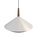 Two Modern Pendant Lights With Conical Shades And Wooden Accents