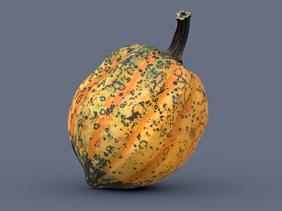 Fresh Organic Pumpkin With Yellow And Orange Skin And Black Spots And Stem 3d model