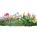 Colorful Mixed Flowers and Green Plants in Vibrant Garden Arrangement