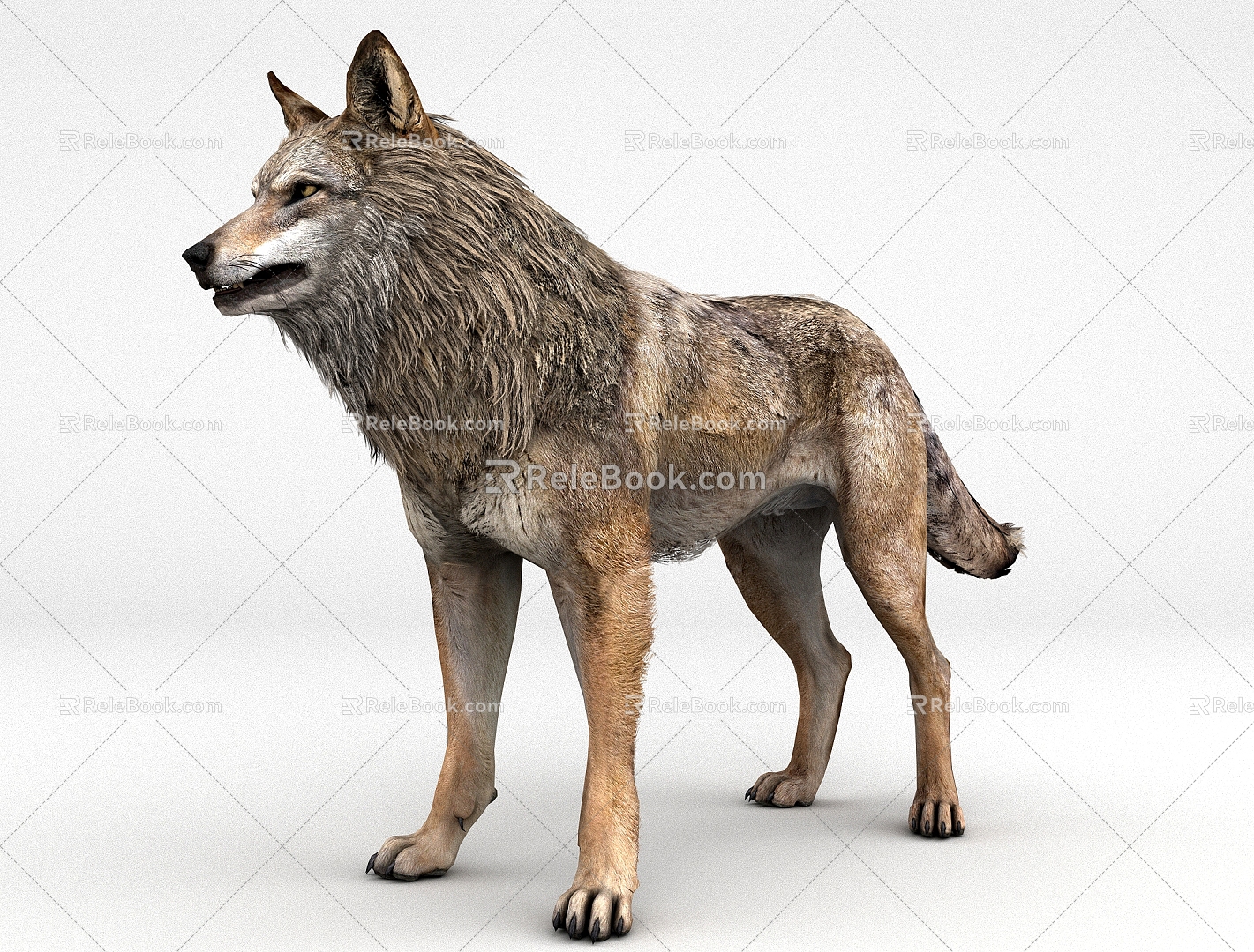 wolf four-legged wild animal wolves 3d model