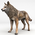 wolf four-legged wild animal wolves 3d model