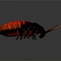 Red and Black Cockroach With Orange Stripes And Long Antennae On Gray Background