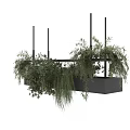 Modern Stylish Pendant Light With Green Plants And Hanging Foliage Design