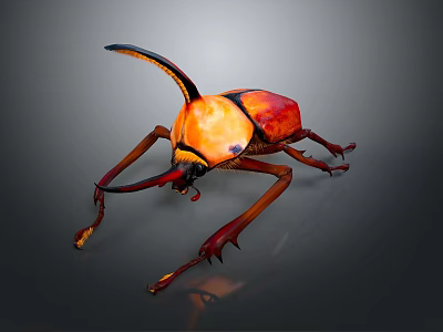 Vibrant Orange And Red Horned Beetle With Long Antennae And Detailed Legs 3d model
