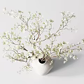 Elegant Decorative Ornament Set With White Vase And White Flower Branches