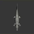 White Crocodile With Open Mouth And Reflection On Gray Background 3d model