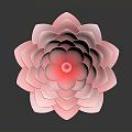 Beautiful Pink Lotus Flower With Soft Layered Petals On Dark Background
