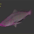 Silver Fish with Shiny Scales and Fins on Dark Background 3D Rendered
