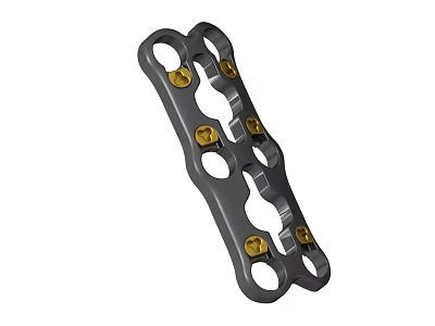 Orthopedic Bone Plate with Multiple Holes and Golden Screws for Fracture Fixation in Surgery 3d model