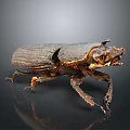Dark Brown Shiny Beetle With Horned Head And Detailed Legs On Gradient Background With Reflection