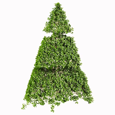 Modern Shrub Outdoor Green Plant 3d model