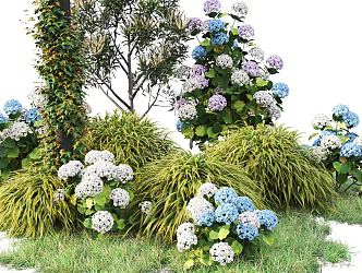 Modern shrubs 3d model