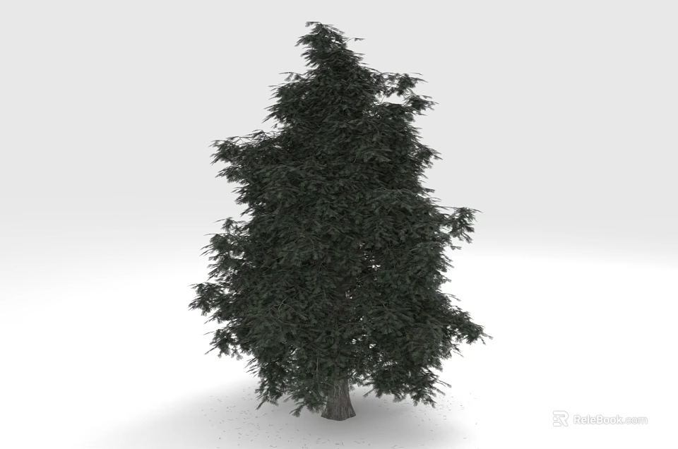 Lush Green Pine Tree With Dense Foliage And Straight Trunk In White Background 3d model 