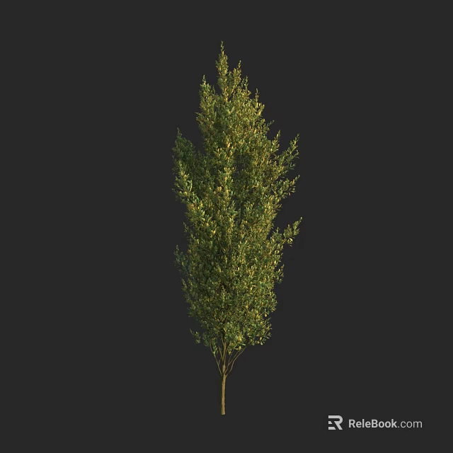 Tall Arbor With Lush Green Foliage And Brown Trunk In Natural Scene 3d model 