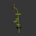 Yellow Sunflower in Ceramic Vase with Green Stem Leaves and Black Background Reflection
