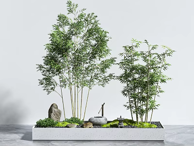 Bamboo Landscape in Rectangular Planter with Rocks Moss and Water 3d model