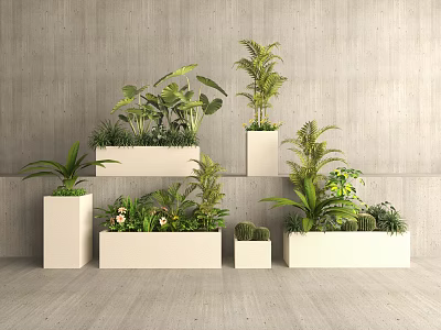 Modern Interior With White Planters And Various Green Bonsai Plants Arranged In Different Heights 3d model