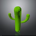 Green Cactus Plant With Yellow Spines Upright Stem And Branching Arms