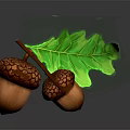 Two Detailed Brown Acorns With Textured Shell And Green Oak Leaf