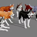 Cute Husky Dogs In Different Colors Standing Together On Gray Background