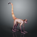 Realistic 3D Model of Monkey With Long Tail and Tan Fur on Dark Background