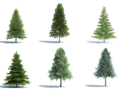 Different Types Of Arbor Trees Featuring Various Foliage Shapes And Sizes 3d model