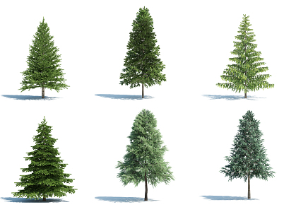 The Modern Tree 3d model