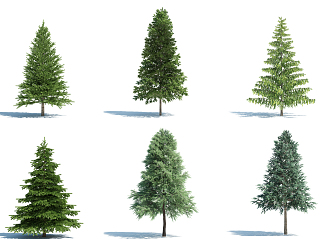 The Modern Tree 3d model