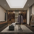 Light Luxury Cloakroom 3d model