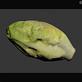 Fresh Whole Green and Yellow Lettuce with Crisp Leaves on Dark Reflective Surface