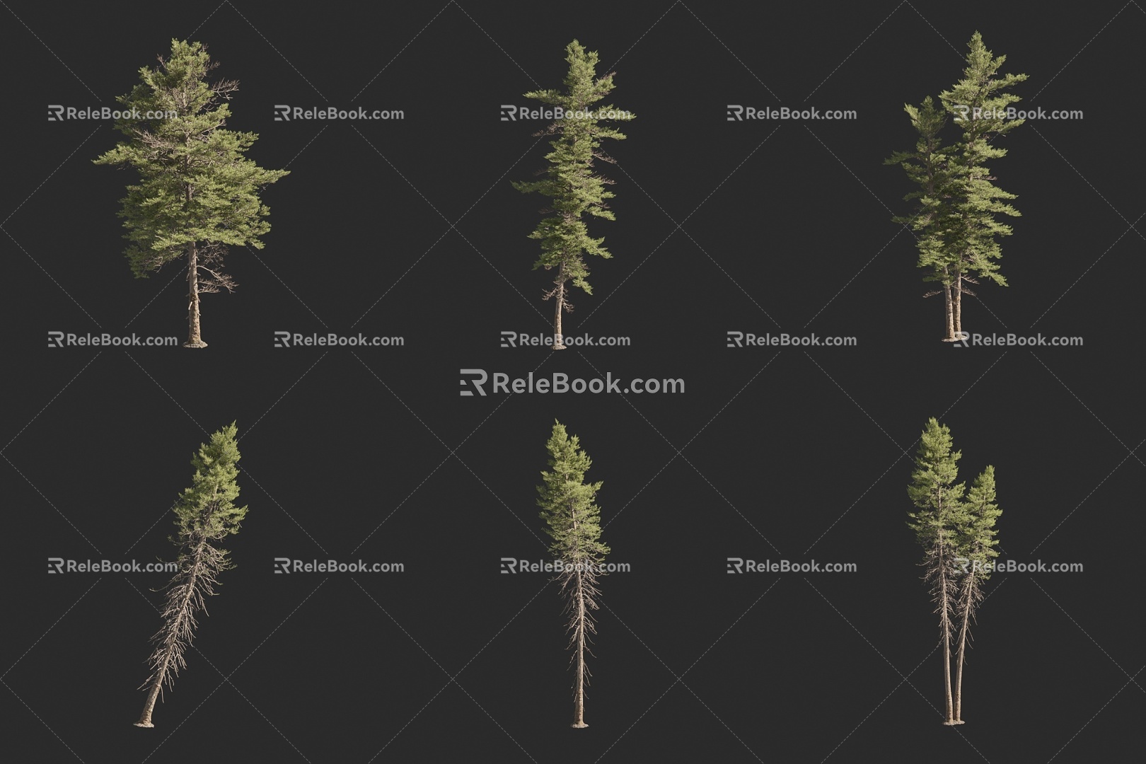 spruce tree landscape tree 3d model