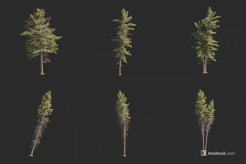 Different Arbor Trees With Various Heights And Lush Green Foliage 3d model 