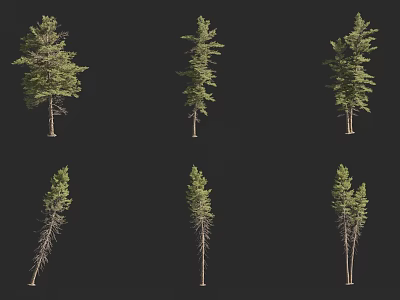 Different Arbor Trees With Various Heights And Lush Green Foliage 3d model