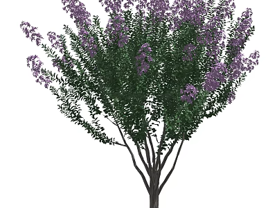 Lush Flowering Arbor With Purple Blossoms And Green Foliage In Full Bloom 3d model