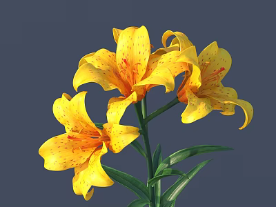 Blooming Yellow Lilies With Red Spots And Green Leaves On Gray Background 3d model