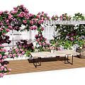 Charming Pergola with Pink Roses White Lattice Wooden Deck and Climbing Vines
